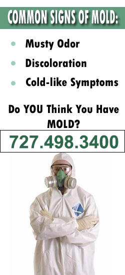 Pinellas Park Mold Remediation Contractor